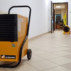 Deumidificatori a condensazione DH 752 - Robusti ed economici Scegli i deumidificatori a condensazione DH 752, economicamente vantaggiosi e ideali per progetti nel settore edile e lavori di restauro.