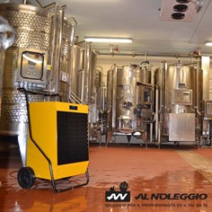DH 92 Deumidificatore - Igrostato Integrato - Ambiente Più Sano e Confortevole - Consulenza Noleggio Gorgo al Monticano DH 92 Deumidificatore con igrostato integrato per un controllo preciso dell'umidità. Crea un ambiente più sano e confortevole. Consulenza sul noleggio disponibile a Gorgo al Monticano.
