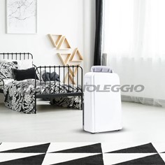 Condizionatore portatile professionale 