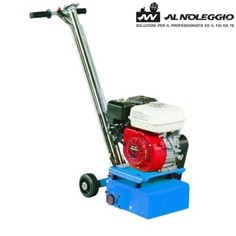 Scarificatrice carrellata 5.5CV - Noleggio 