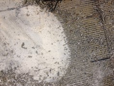 scarificatrice per pavimenti Al Noleggio - Treviso