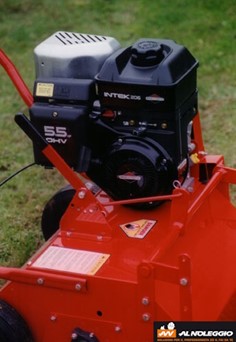 Arieggiatore TR-20 - Rigenerazione Erbosi - Noleggio per Privati a Gorgo al Monticano Noleggia l'Arieggiatore TR-20 per la rigenerazione degli erbosi a Gorgo al Monticano. Perfetto per i privati.
