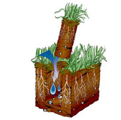 carotatrice per la lavorazione del prato 