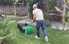 Raccogli carote con rullo 