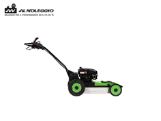 Decespugliatore a ruote professionale 