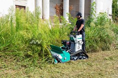 Trinciasementi in lavorazione 