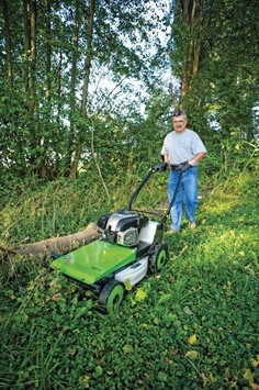 Trinciatutto per rovi e vegetazione 