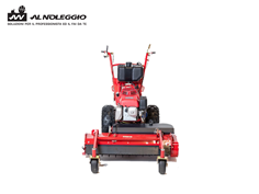 Livellatrice terreno professionale 