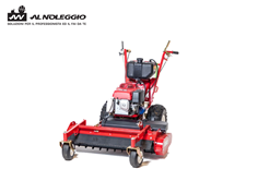 Rastrello a motore professionale 