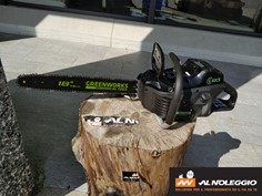 Motosega elettrica 