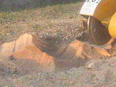 fresaceppi frizione centrifuga 