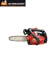 Motosega da potatura compatta e potente 