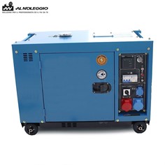 Gruppo elettrogeno diesel 9Kw con avviamento elettrico e selettore di tensione 