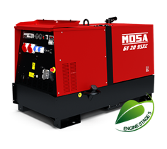 Gruppo elettrogeno Diesel 16 kW con motore Yanmar 4TNV88 
