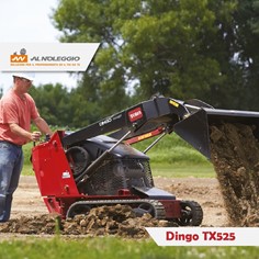 Dingo con Benna Toro TX-525 - Noleggio Motta di Livenza Affitta il Dingo Diesel con Benna Toro TX-525 per lavori potenti a Motta di Livenza. Con potenza idraulica sorprendente e comandi semplici.