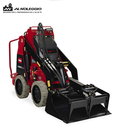 Miniskid Dingo a batteria 