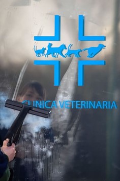 Generatore di Vapore Professionale a Treviso 