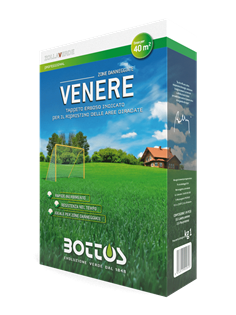 Venere - Sementi per prato | Zollaverde Miscuglio a tessitura fine ideale per le trasemina di tutti le miscele Zollaverde. Resiste al calpestio e agli agenti atmosferici. Colore verde brillante.